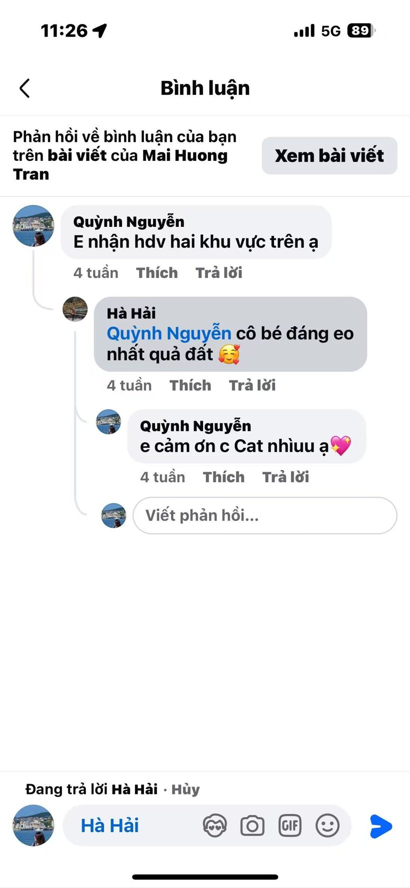 Screenshot of Hà Hải's message
